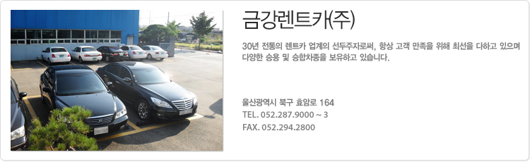 금강렌트카(주)