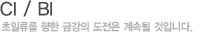 CI / BI